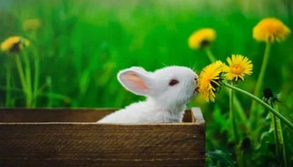如何查找别人的个人信息资料?快速了解几种方法!